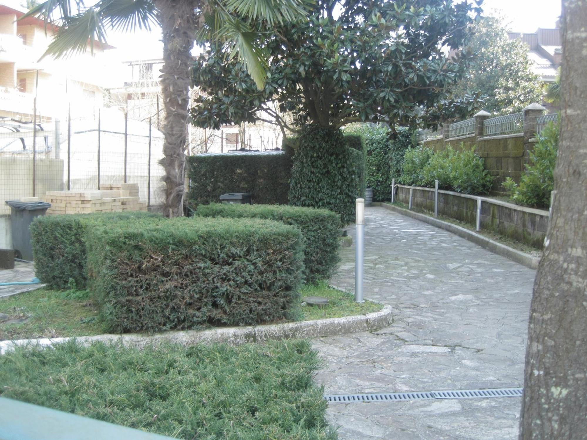 Malaga Avellino